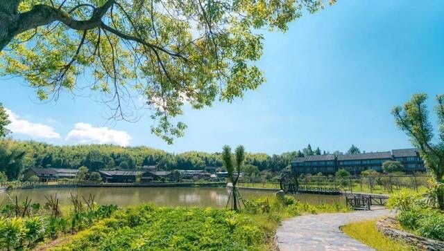 庚子盛夏泰顺三日游