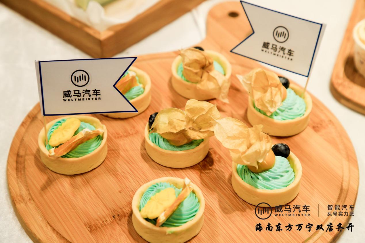「威震琼州」海南威马|万宁店&东方店双店齐开