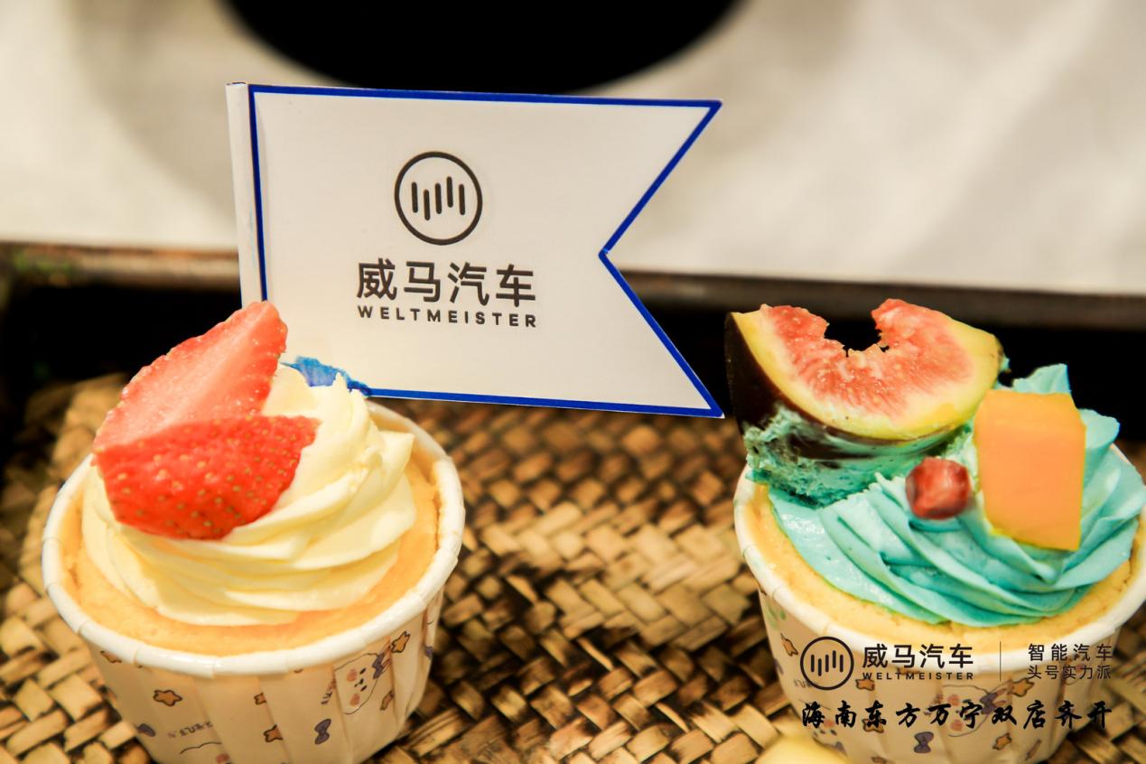「威震琼州」海南威马|万宁店&东方店双店齐开