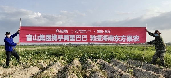 携手阿里巴巴开展助农.jpg