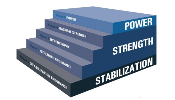 减肥达人训练营携手美国国家运动医学学会nasm科学助力健康中国